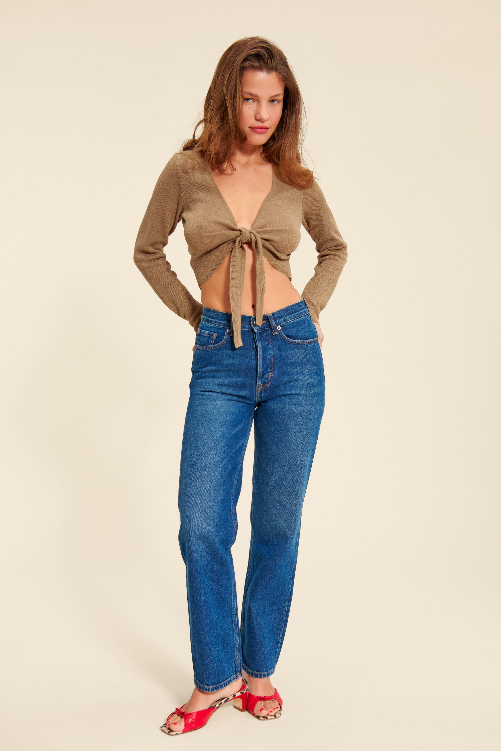 ARAMIS top ARAMIS top