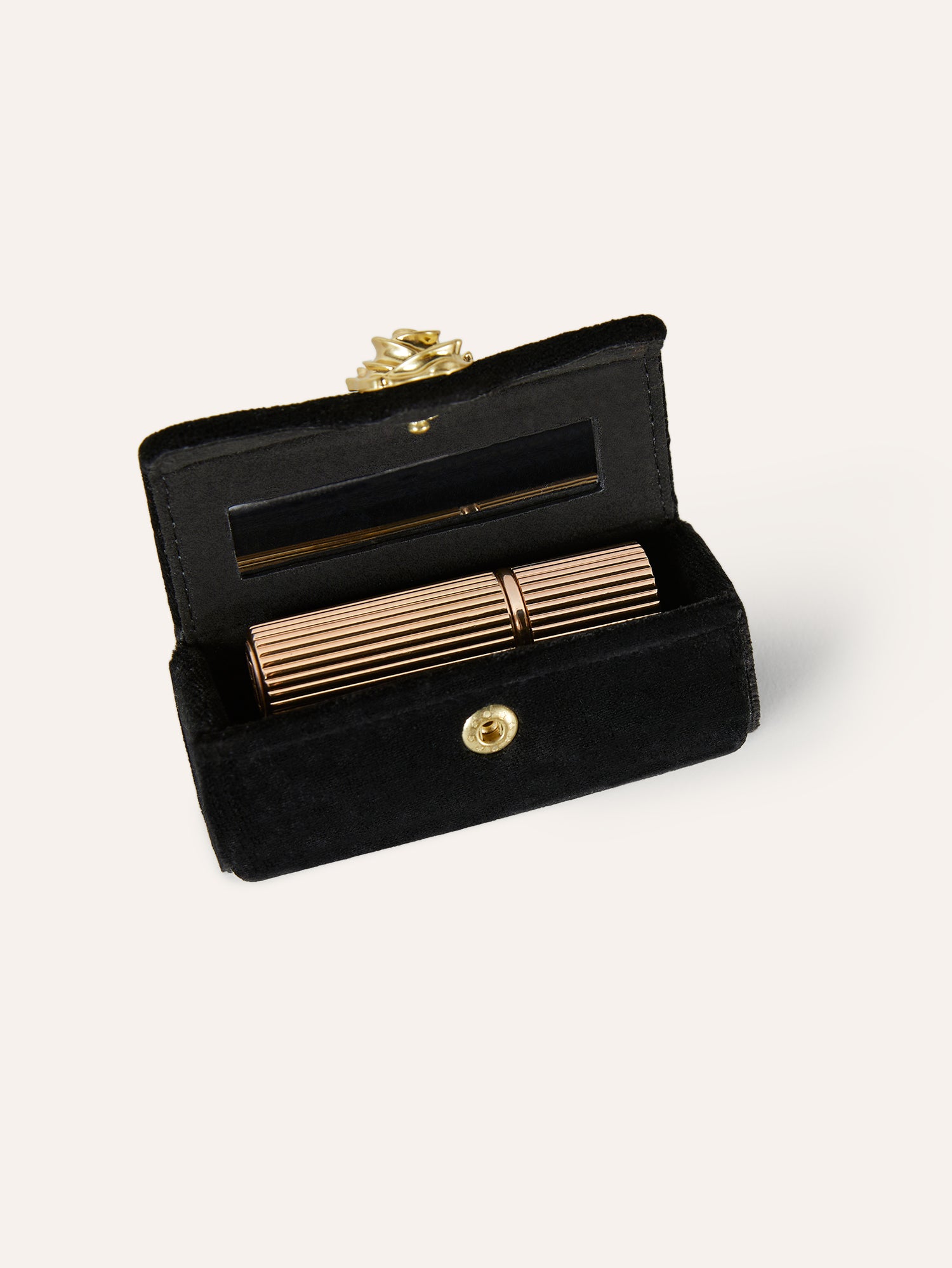 Astuccio LIPS